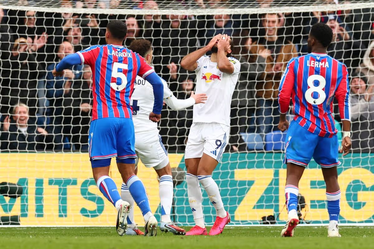 Jonny Cooper tweet media