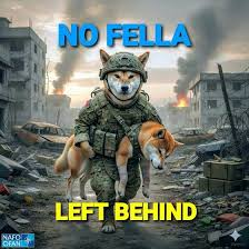 Cat Lady Fella 🇺🇸🇺🇦🇬🇧🏴󠁧󠁢󠁷󠁬󠁳󠁿🇮🇱🦩🐈 tweet media