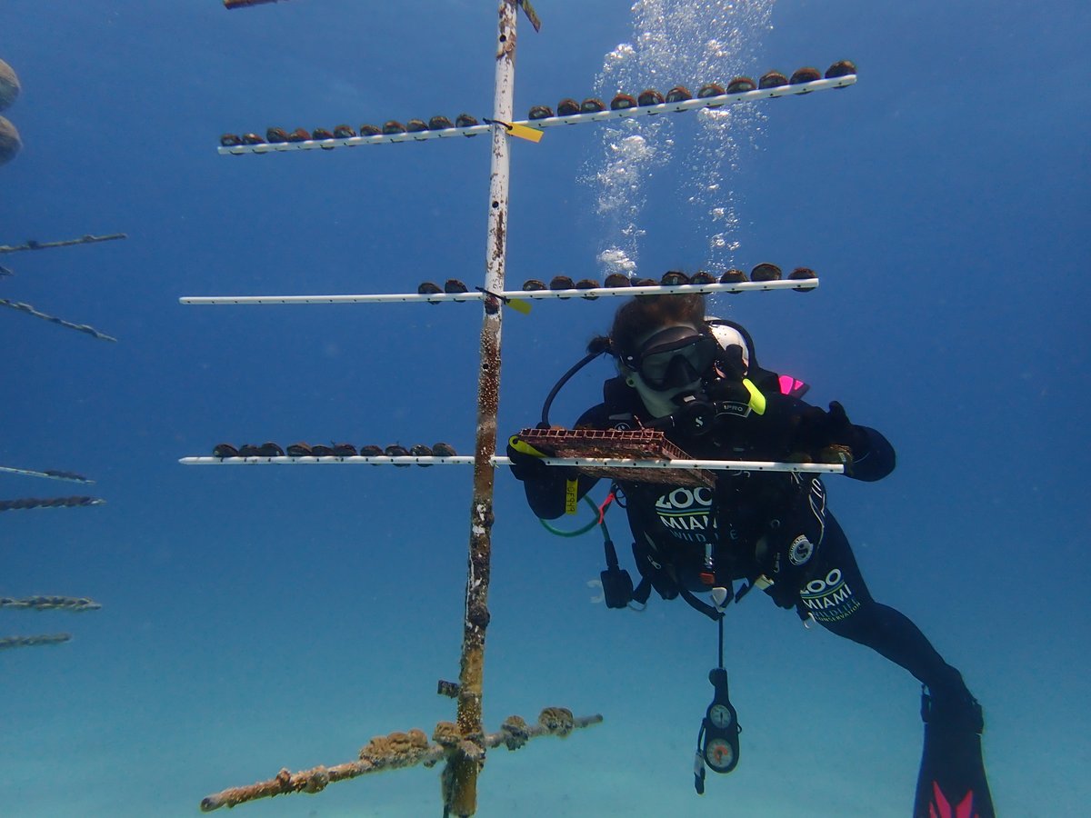 Zoo Miami tweet media