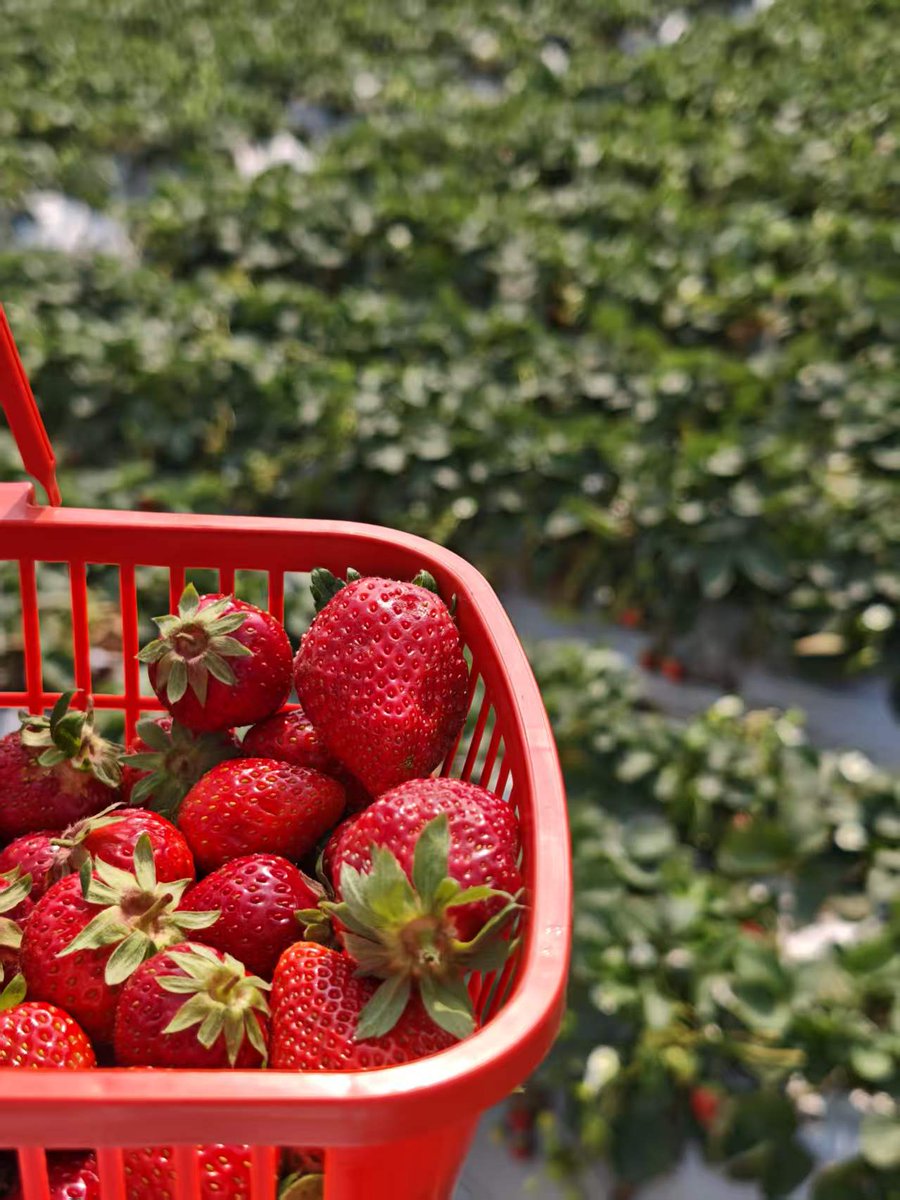 星宇泽 tweet media