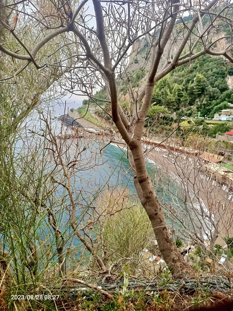 c.e.⚓📸👋 tweet media