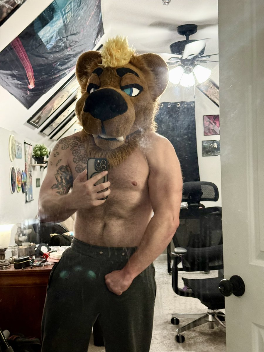 Ryne Bearlet 🔜 BWS, MP tweet media