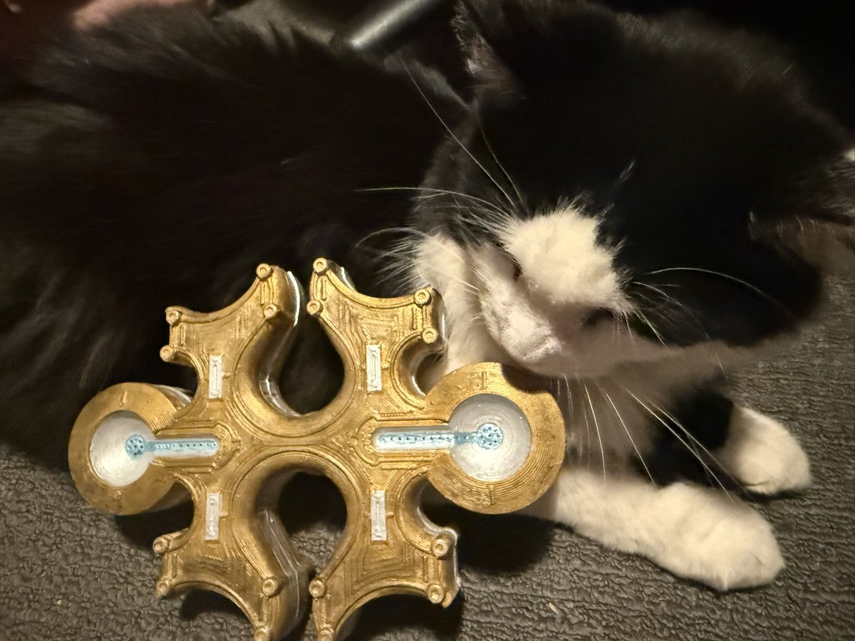 ˚₊‧꒰ა akariteru ໒꒱ ‧₊˚ ✨🌌🍀 tweet media