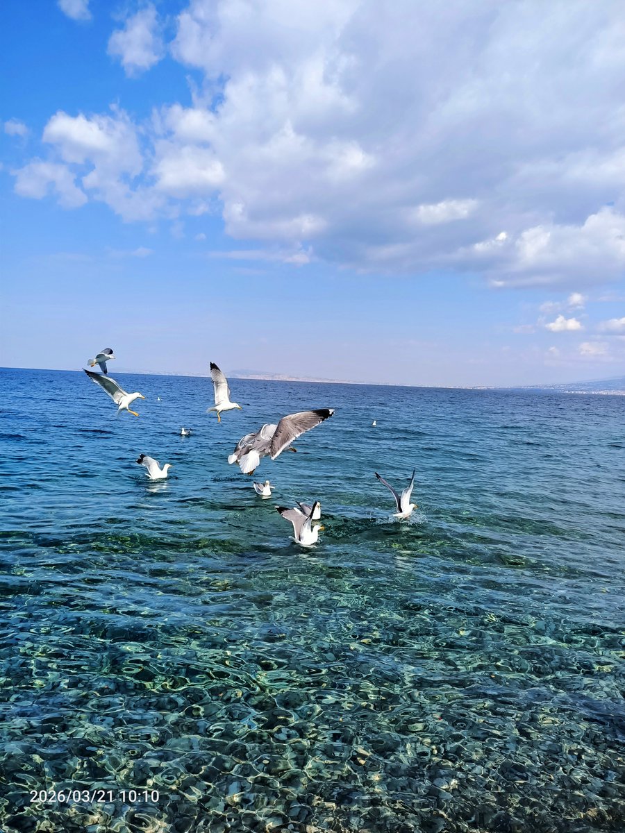 c.e.⚓📸👋 tweet media