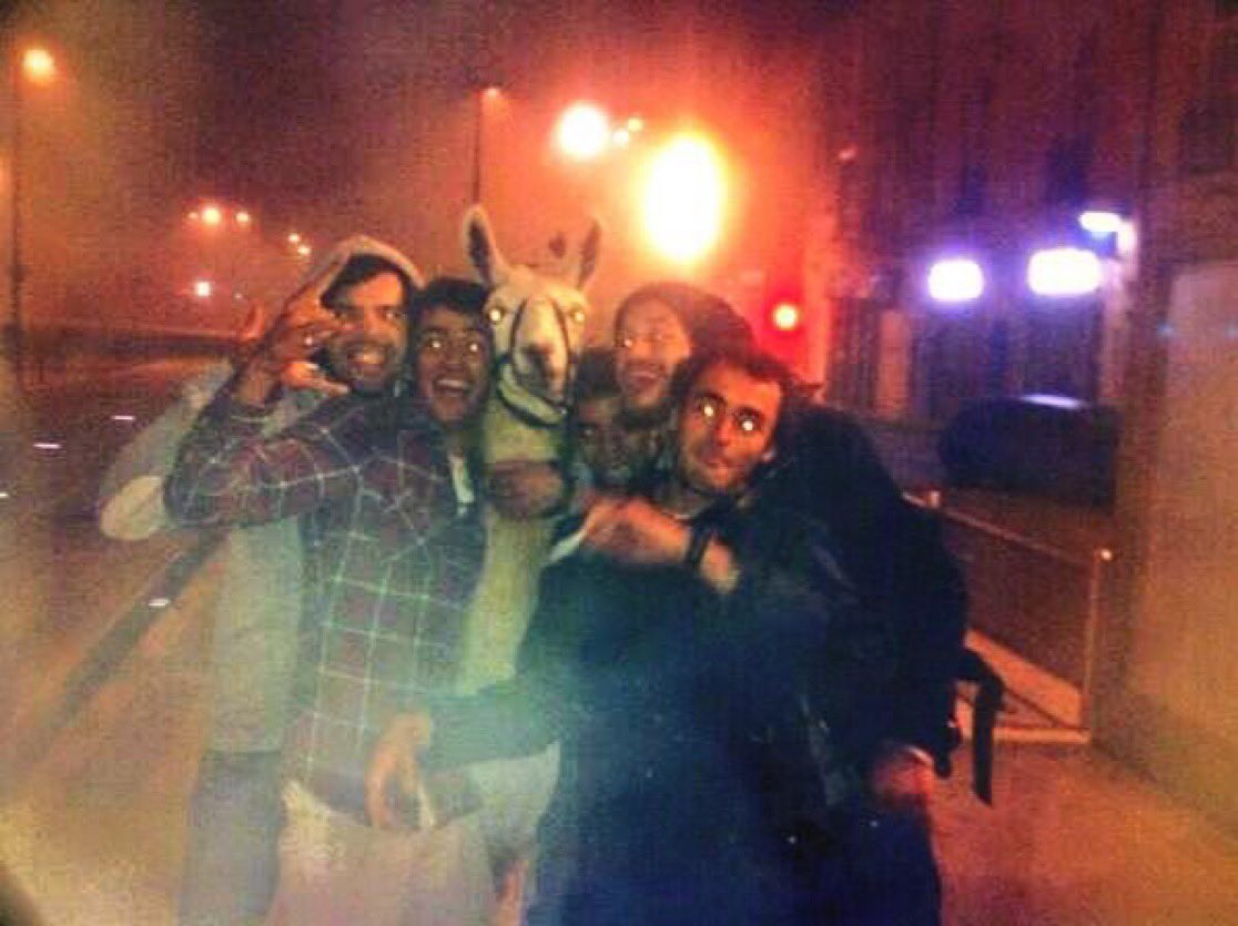 Amandine Rebourg tweet media