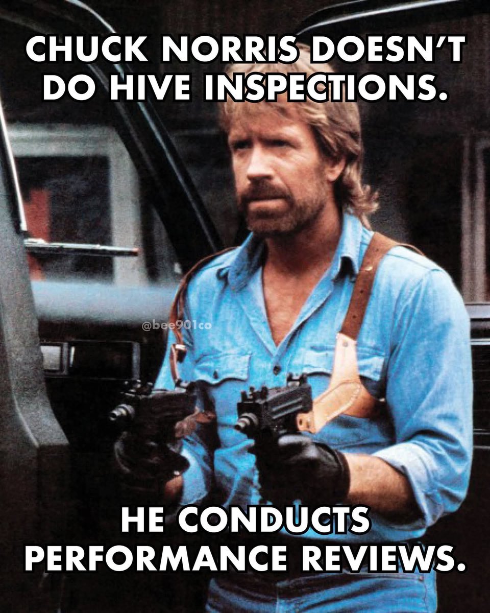 Beekeeping in Maine 🐝 🍯 🐝 tweet media