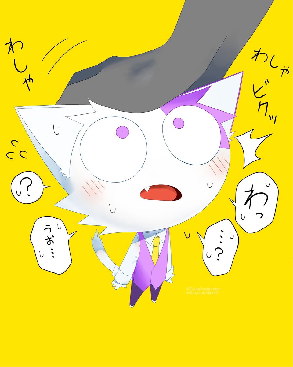 マカロン丼 tweet media