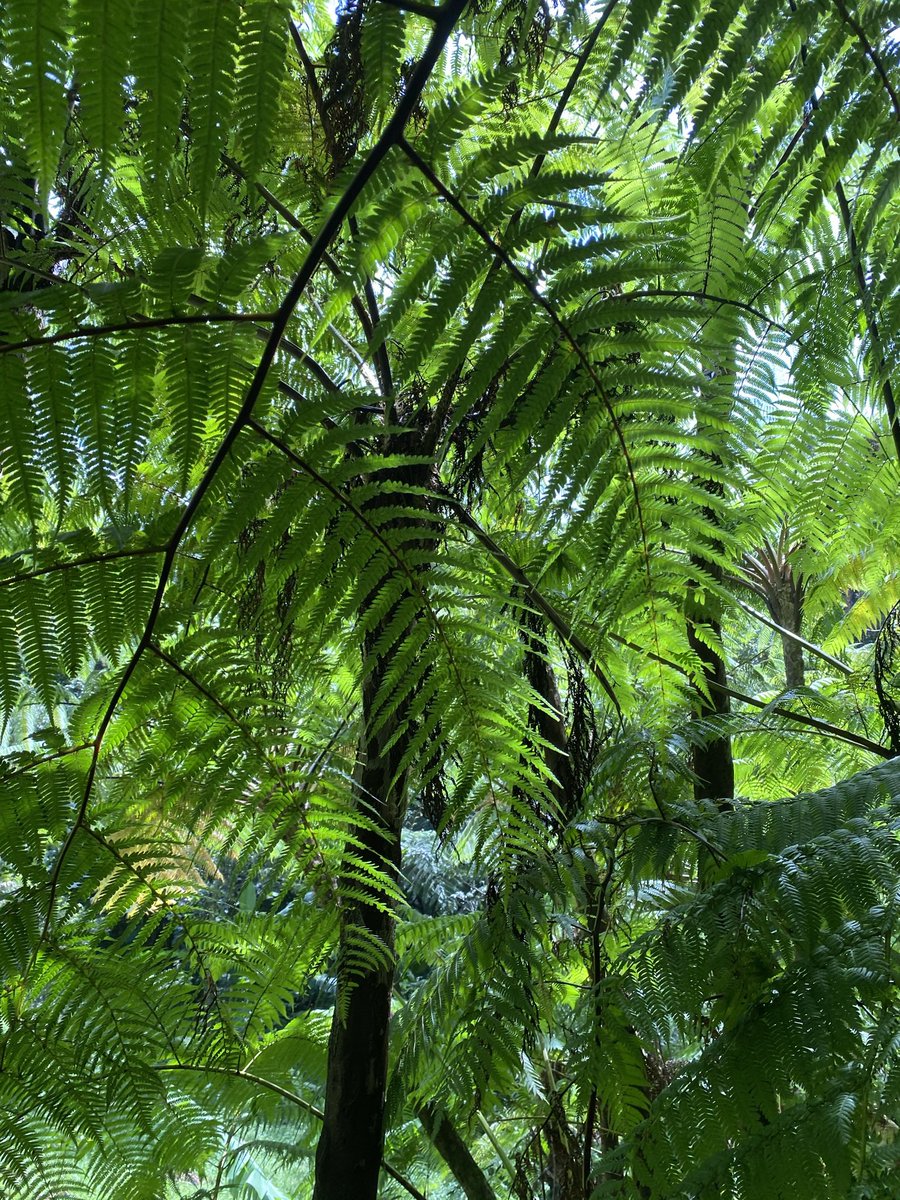 Mylène Colmar tweet media