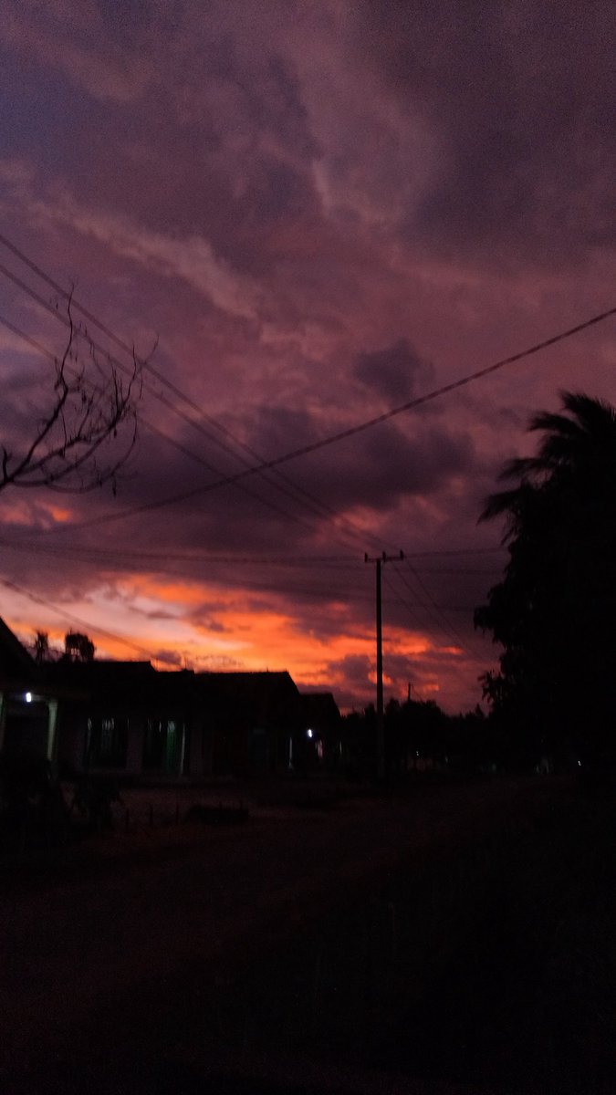 damian cimet tweet media