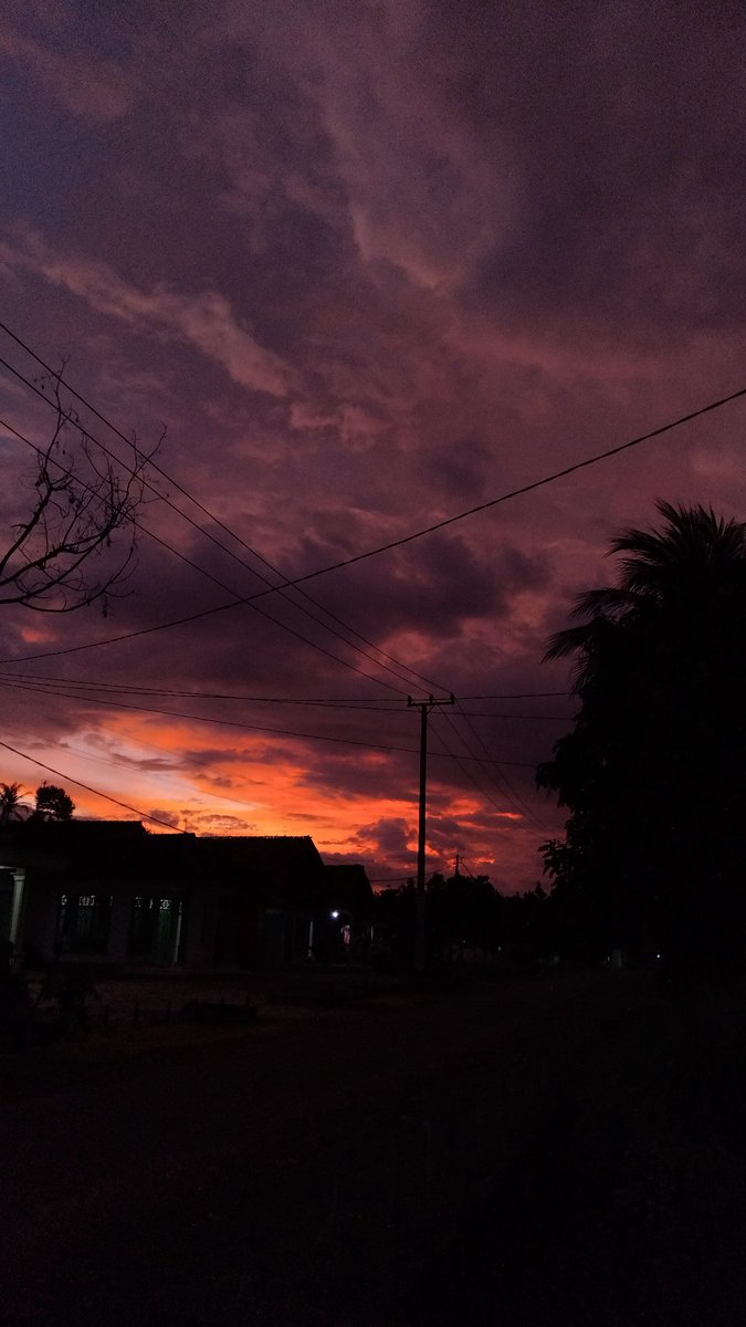 damian cimet tweet media