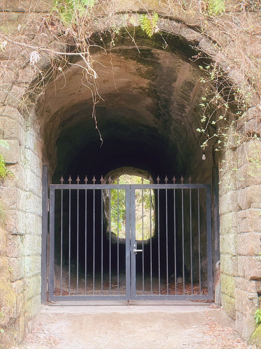 小林はる tweet media