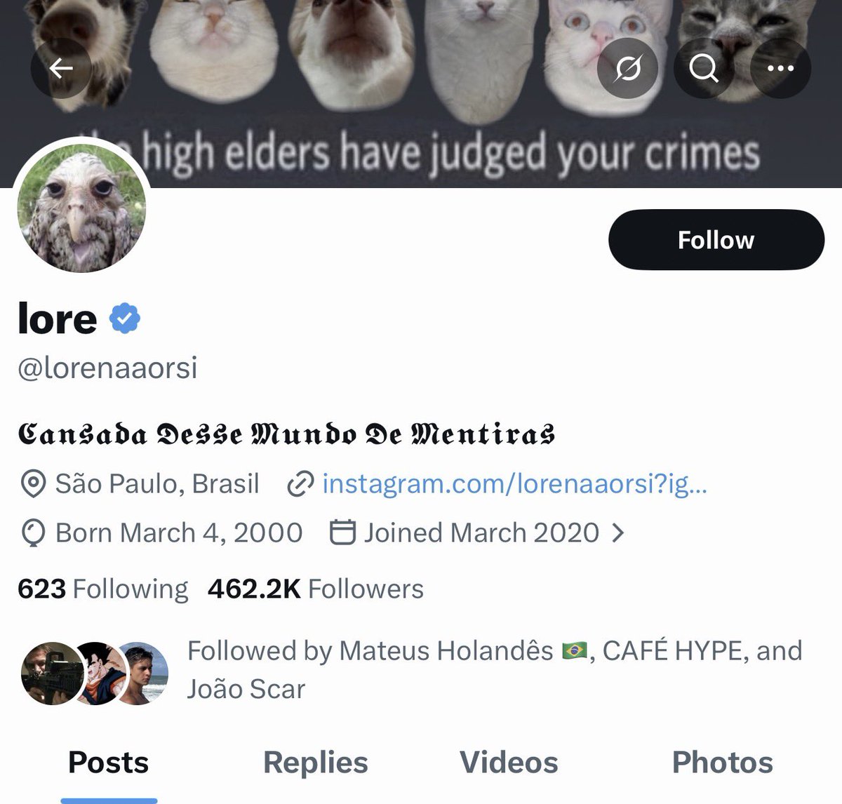 megapiti tweet media