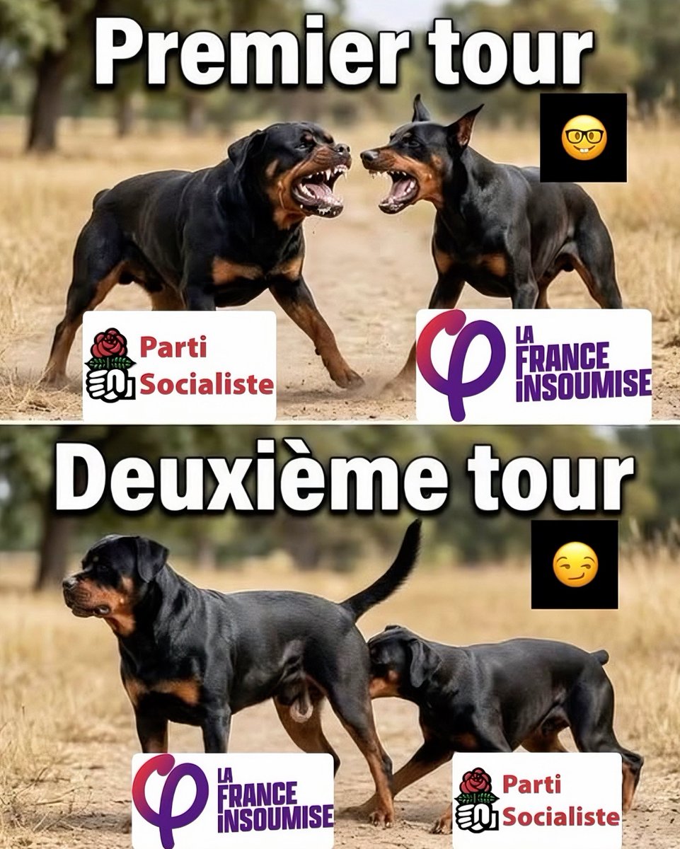 Vivi-Apostat tweet media