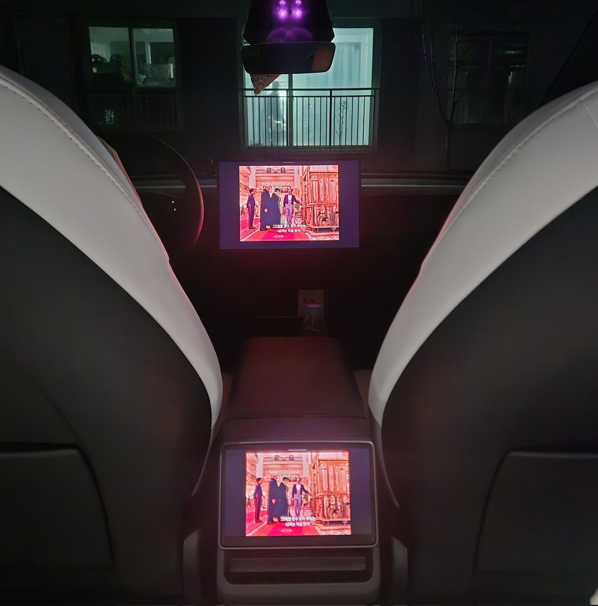 참치먹은 물범 🦭 tweet media