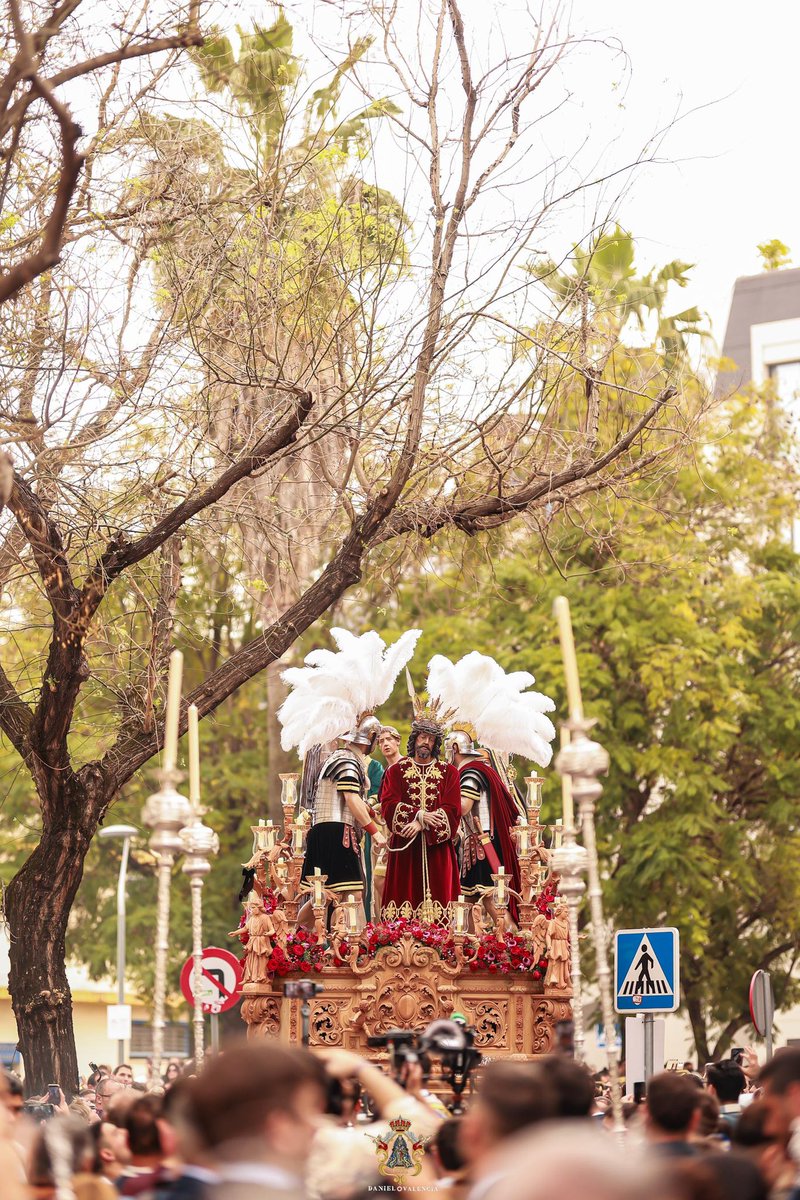 El sueño de unos niños que se convirtió en realidad.

Gracias por hacernos partícipes de cada paso en el camino, <a href="/AbnegacionACC/">𝗔𝗯𝗻𝗲𝗴𝗮𝗰𝗶𝗼́𝗻 𝗱𝗲 𝗦𝗮𝗻 𝗕𝗲𝗿𝗻𝗮𝗿𝗱𝗼</a>.

#Abnegación26