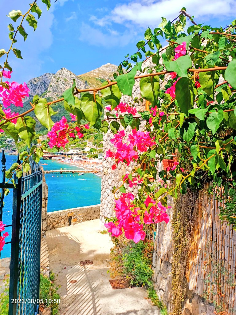 c.e.⚓📸👋 tweet media