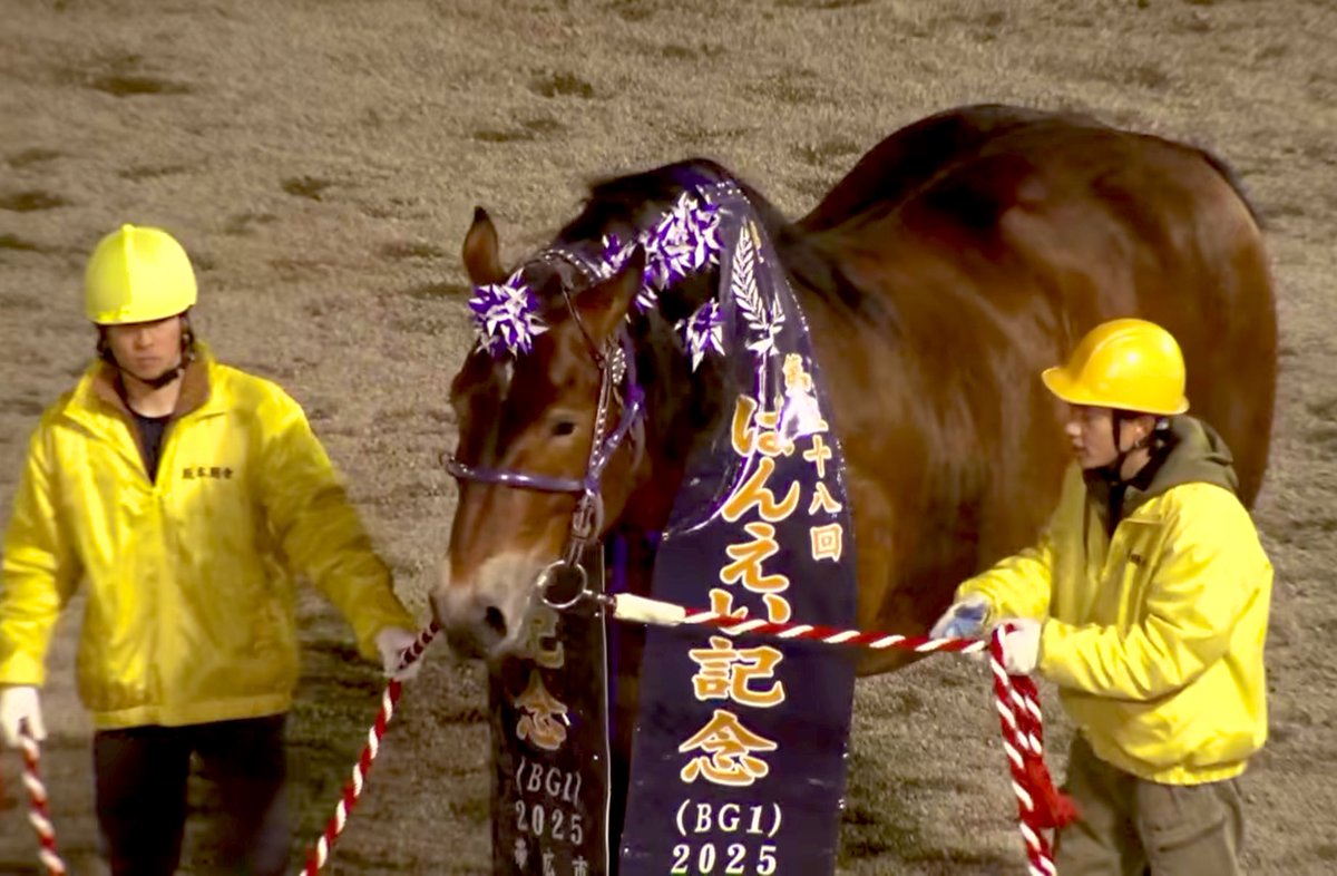 純@シキ-siki- tweet media