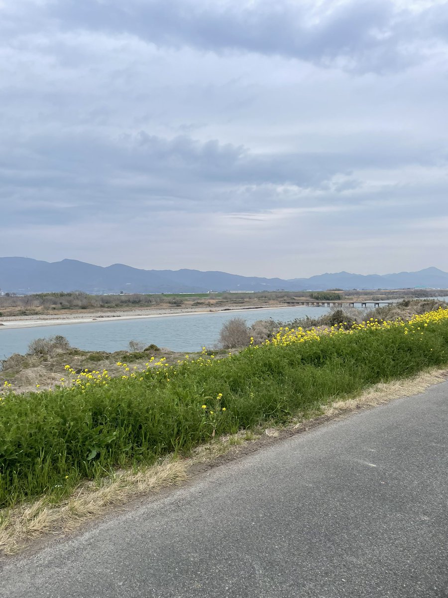 あんず@今度は追突された5/17やまと姫in御杖村6/7たたらぎダム湖10k7/12小布施 tweet media