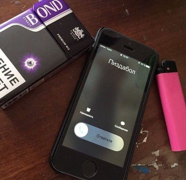 лиза луза лужа лыжа tweet media