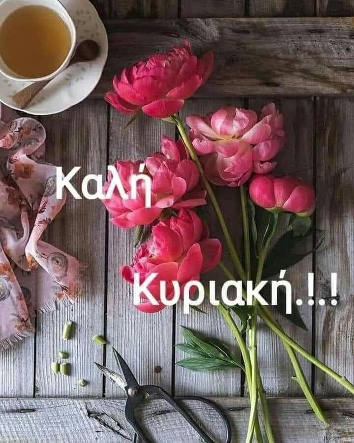 aigiotissa. tweet media