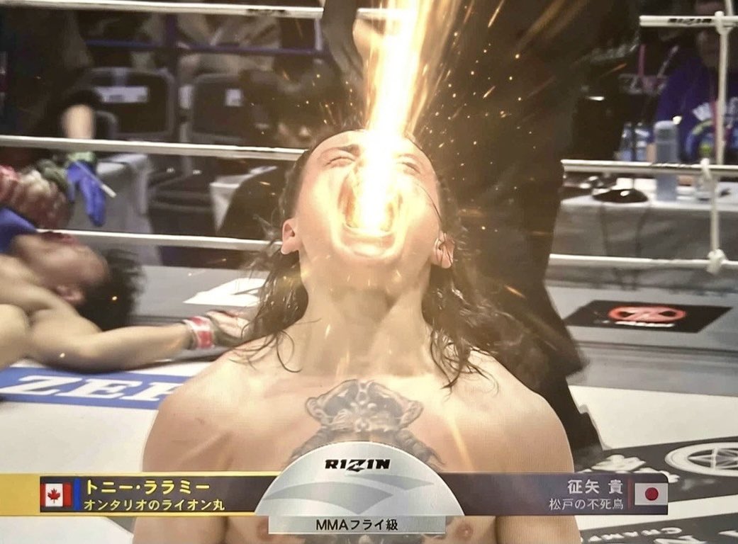 モッサン/ MOSSAN tweet media