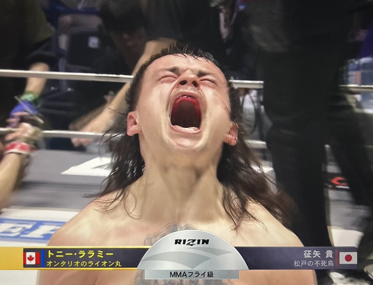 モッサン/ MOSSAN tweet media