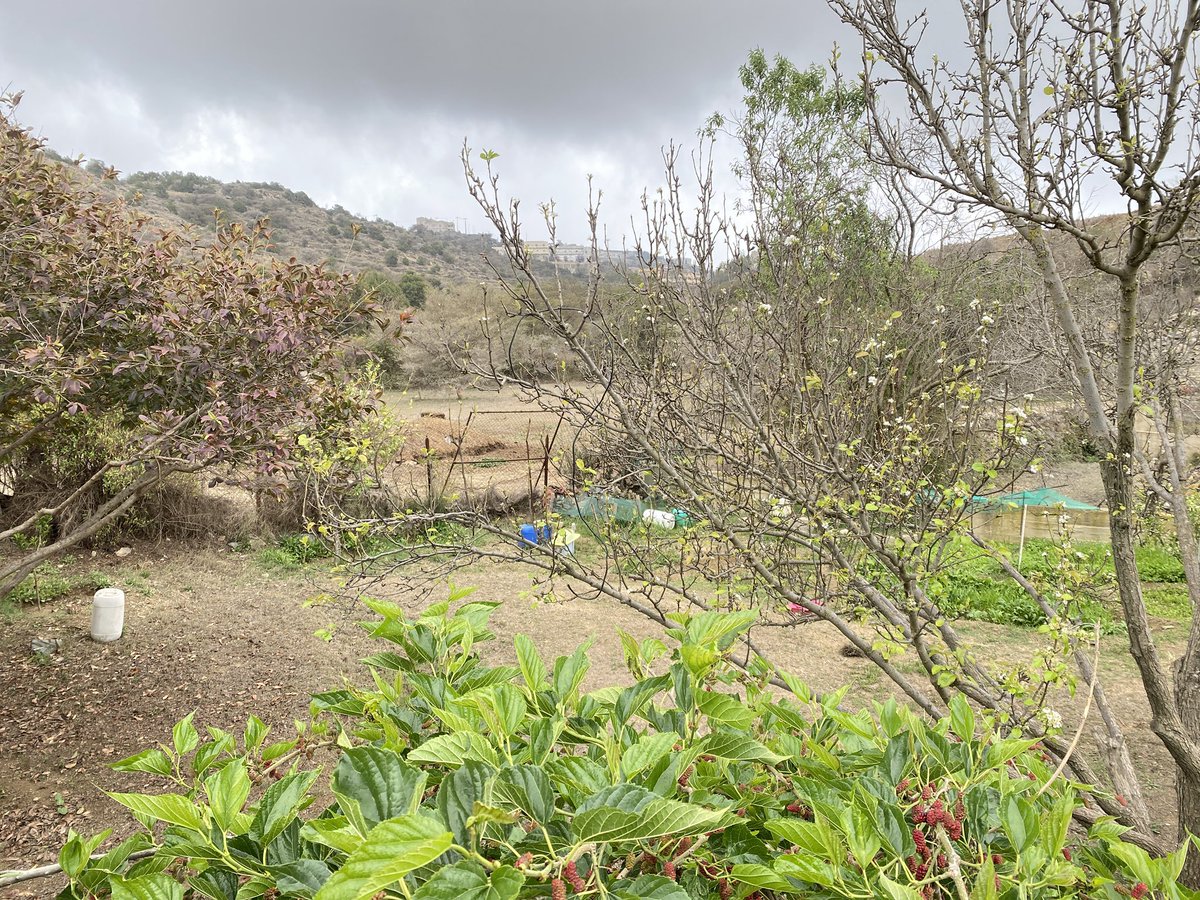 Rand🦒 tweet media