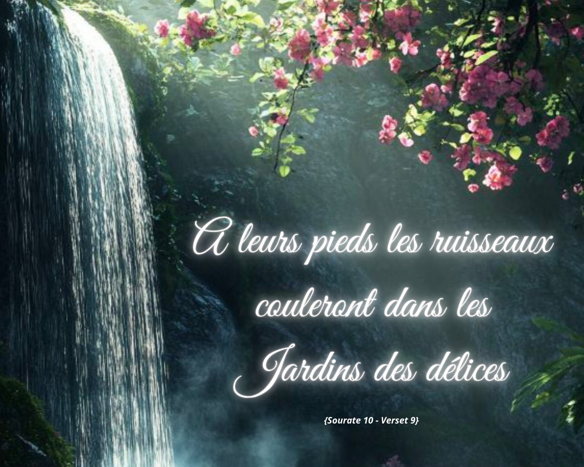 нιsseℓ'âмe ☪ 🇵🇸 tweet media