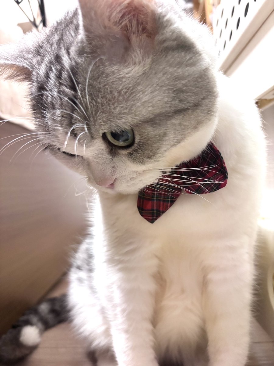 何か悩みでも？