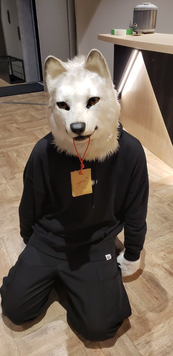 🐾わっち🐾 tweet media