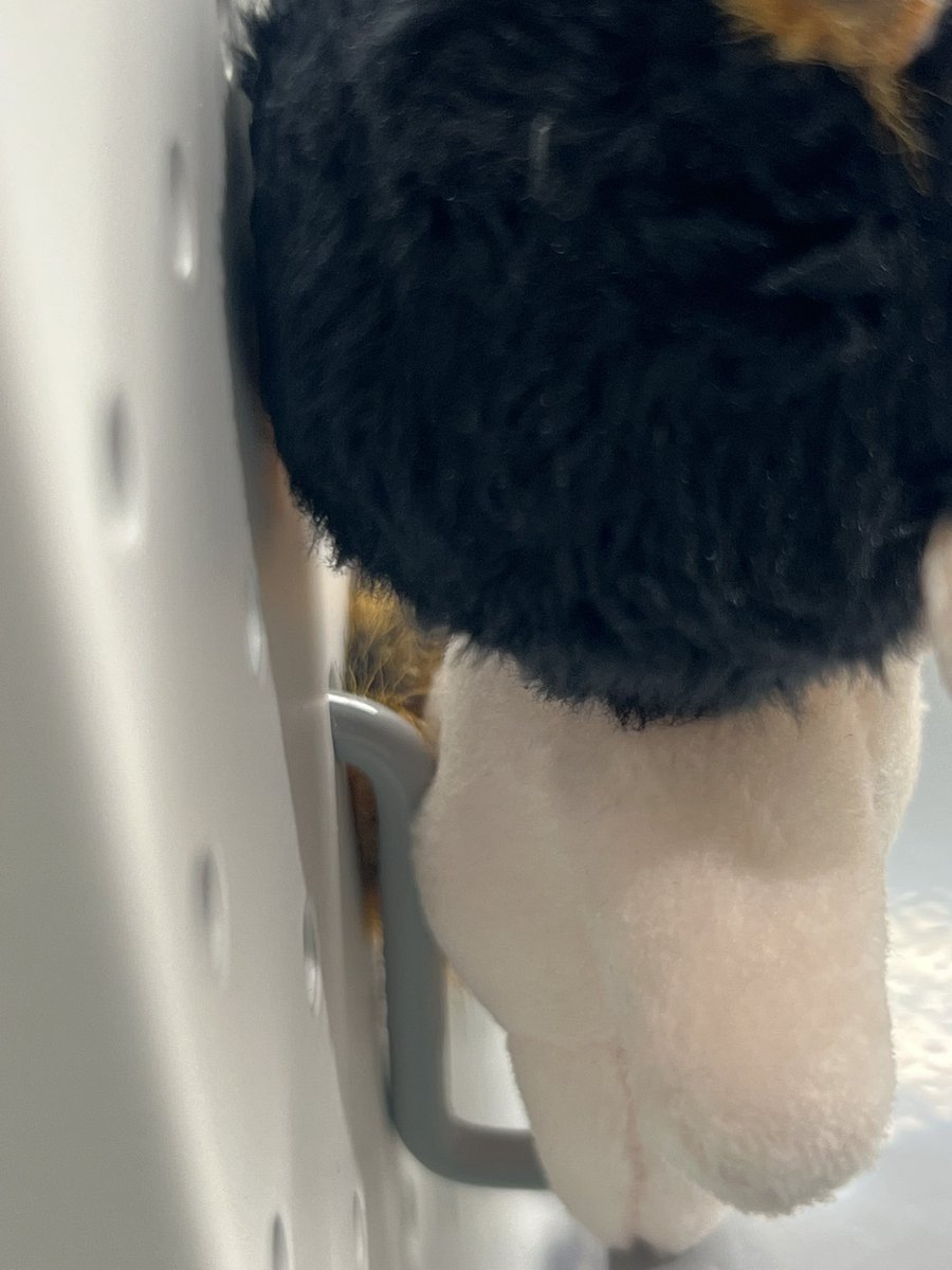 루삥뽕 tweet media