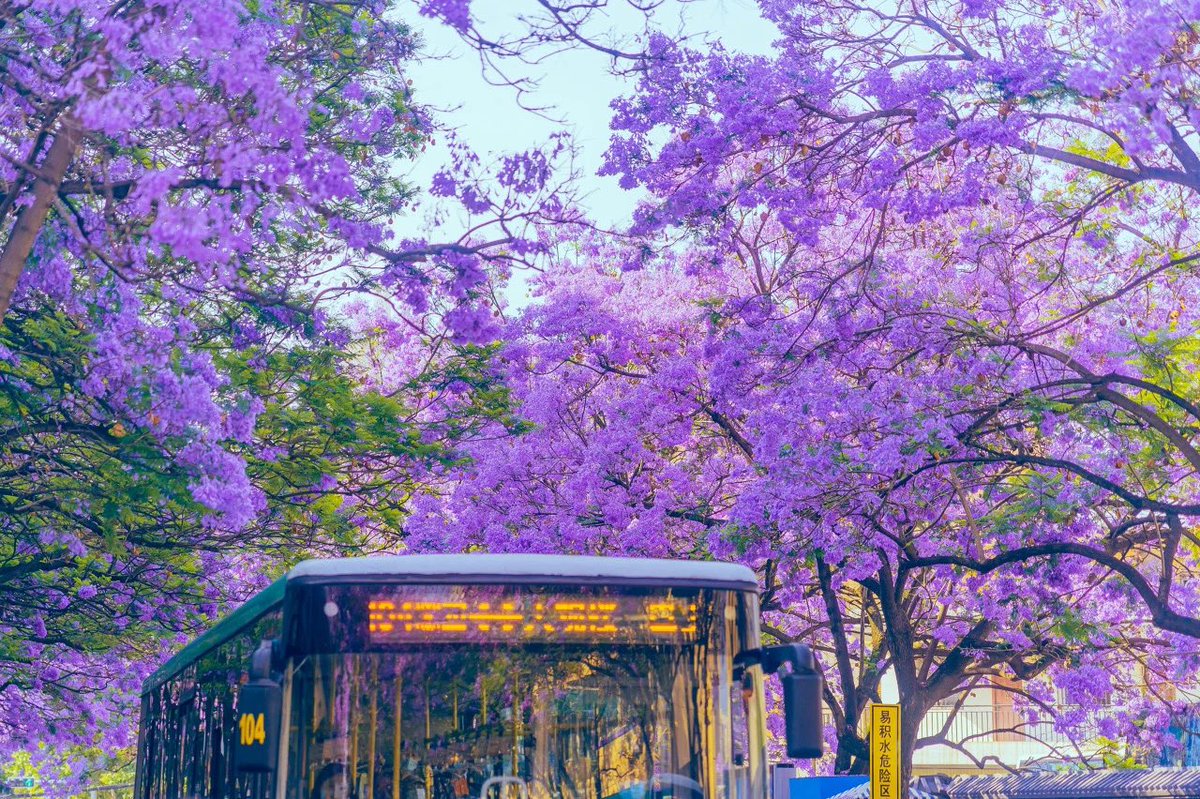 GODBLESSYOUWITHGOLD tweet media