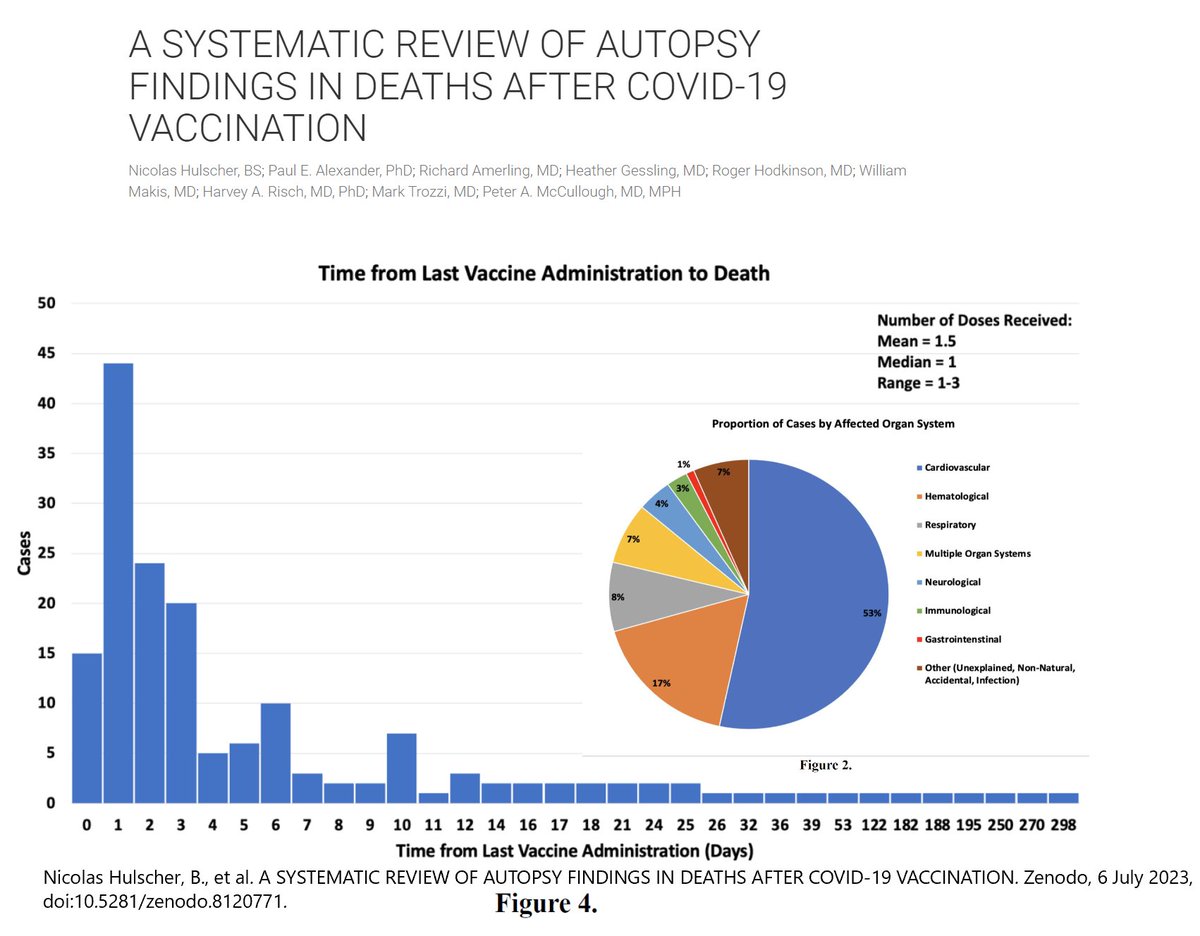 Autopsy Review Confirmed COVID-19 Vaccination was the Direct Cause of Death

Nicolas Hulscher, BS, Paul E. Alexander, PhD, Richard Amerling, MD, Heather Gessling, MD, Roger Hodkinson, MD, William Makis, MD, Harvey A. Risch, MD, PhD, Mark Trozzi, MD, &amp; Peter A. McCullough, MD,