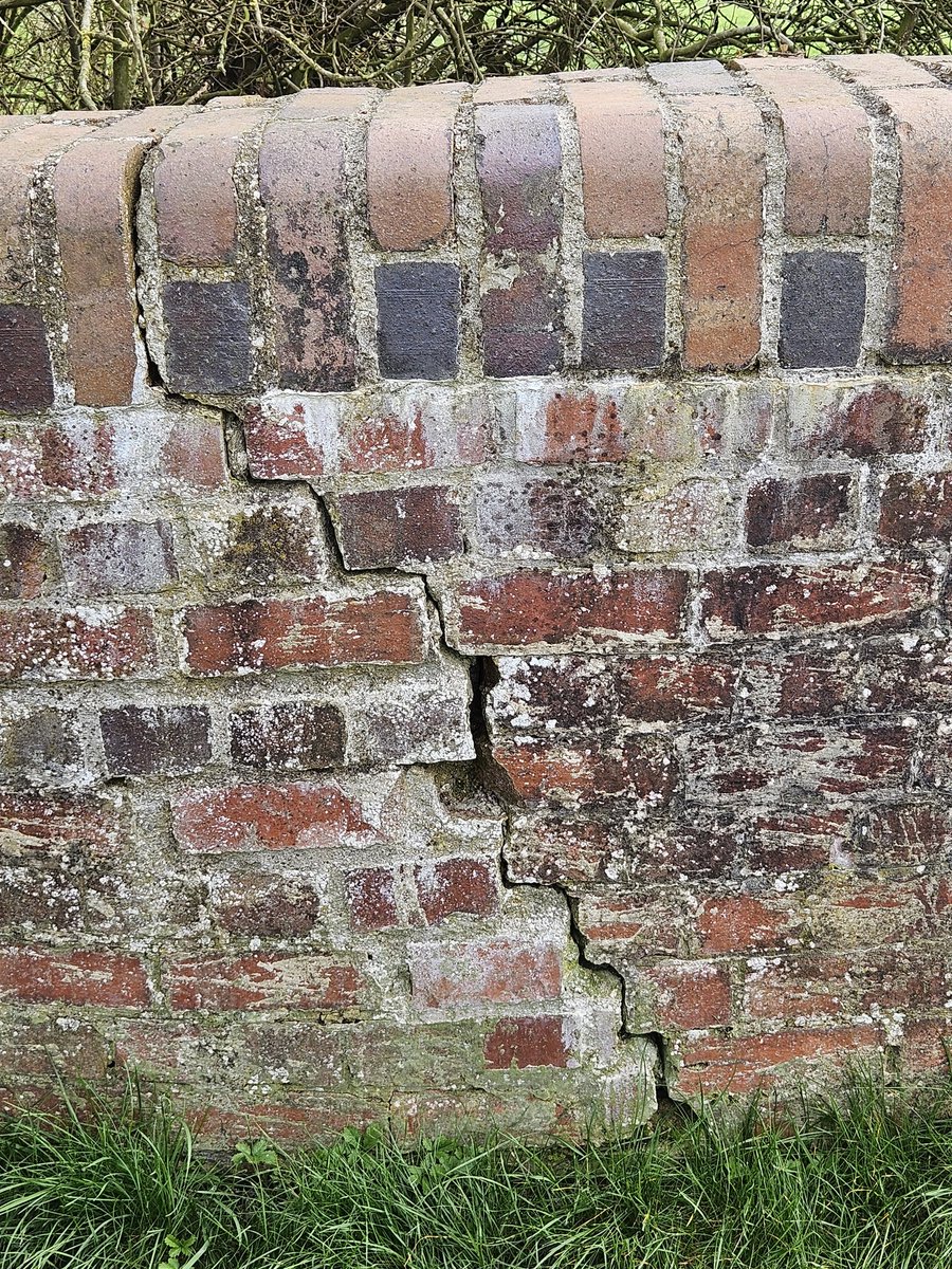 Simon Lunn tweet media