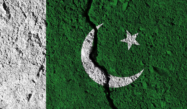 Rapid Reports tweet media