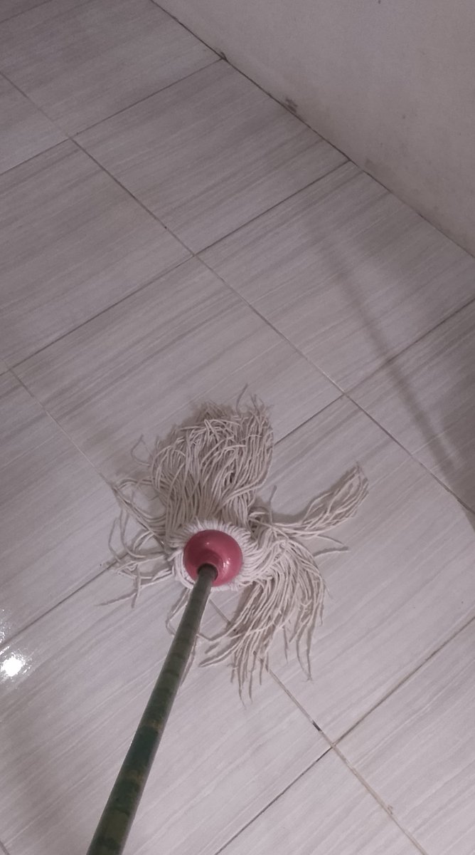 Pet Sitter and cleaning Jogja tweet media