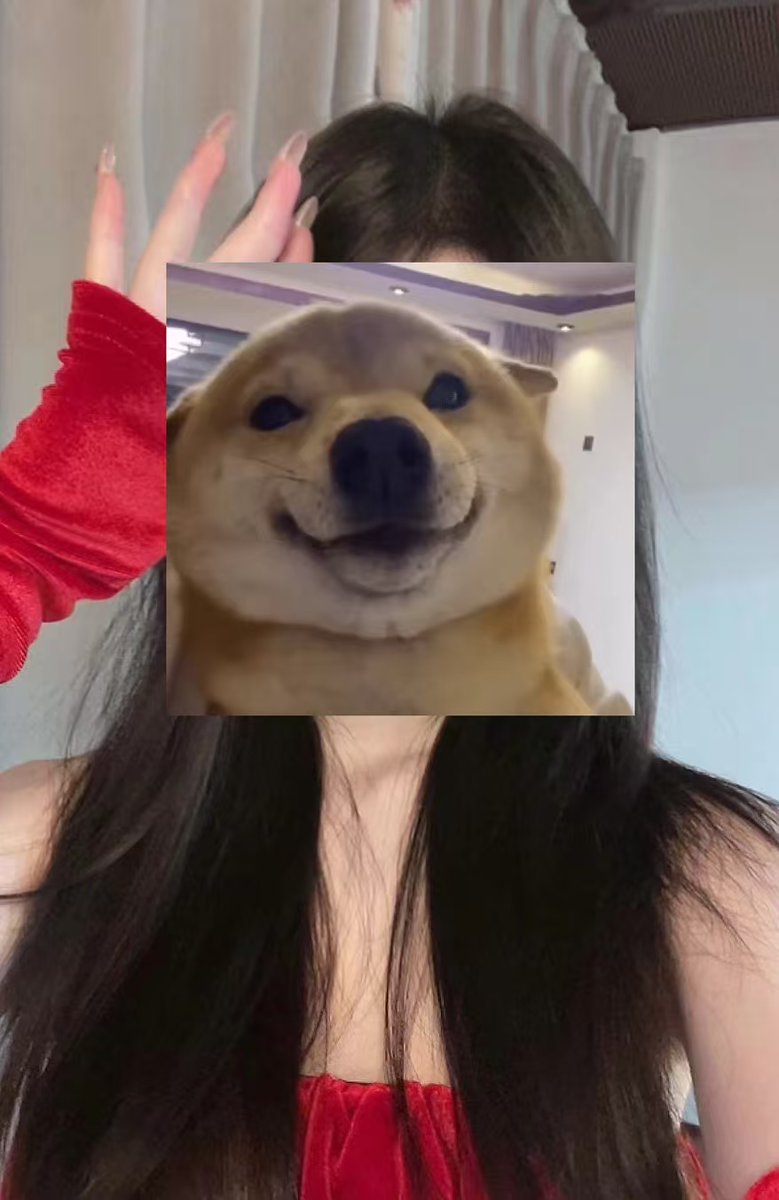 逍遥XTony tweet media