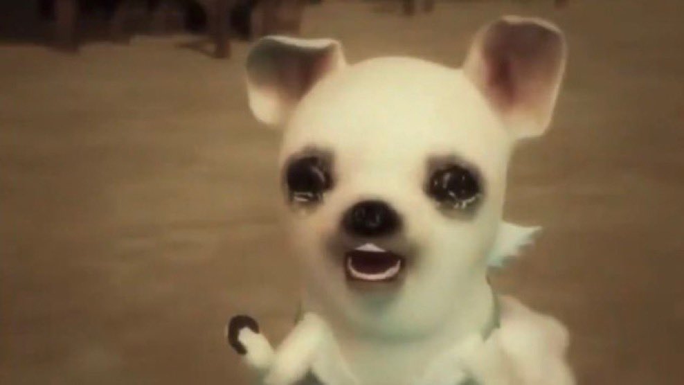 ๐คธ๐ปโโ๏ธ tweet media