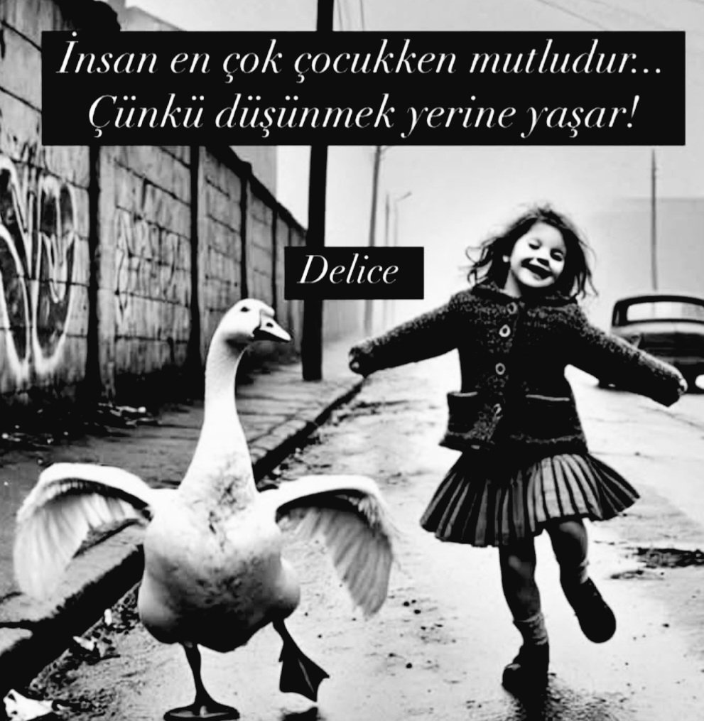 prettyman tweet media