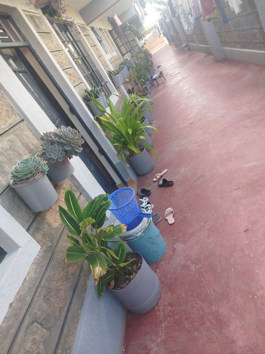 Ignatius tweet media