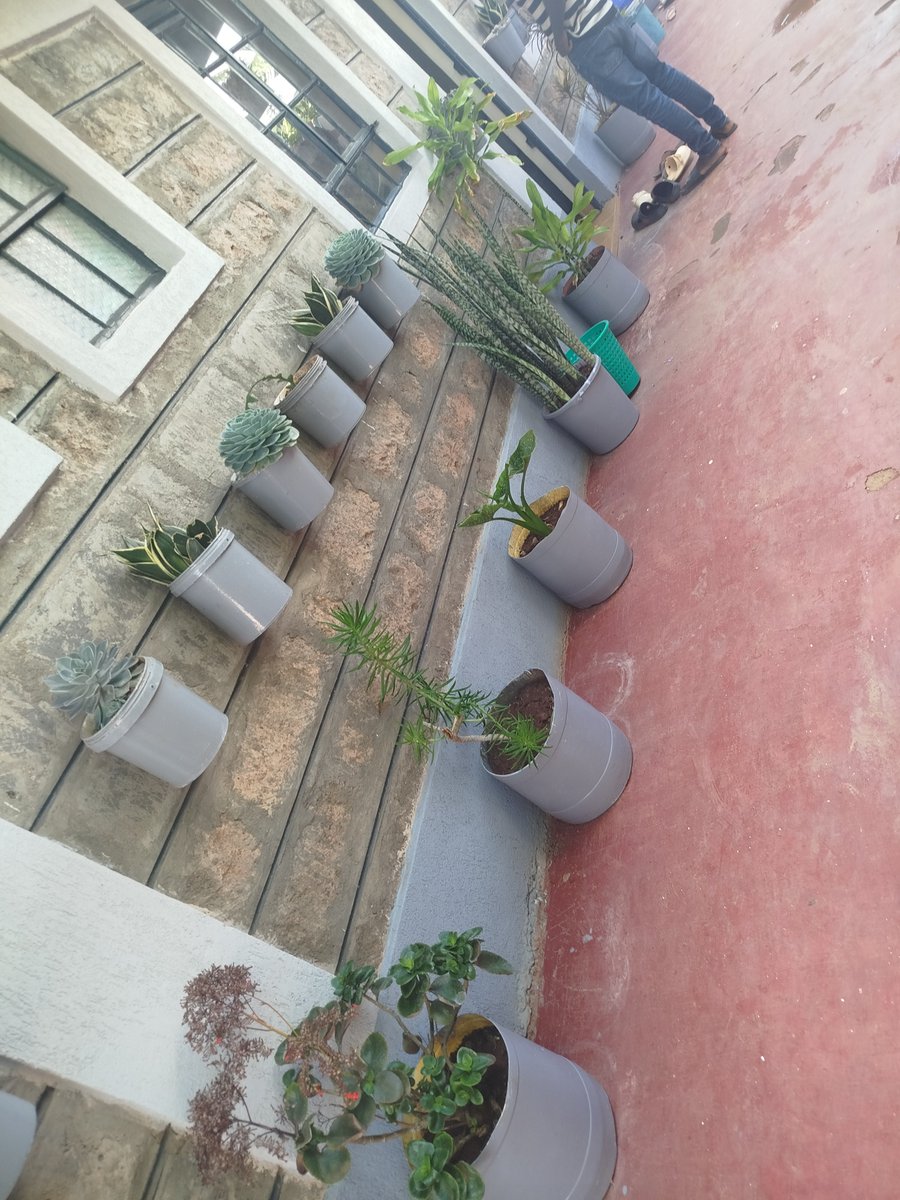 Ignatius tweet media