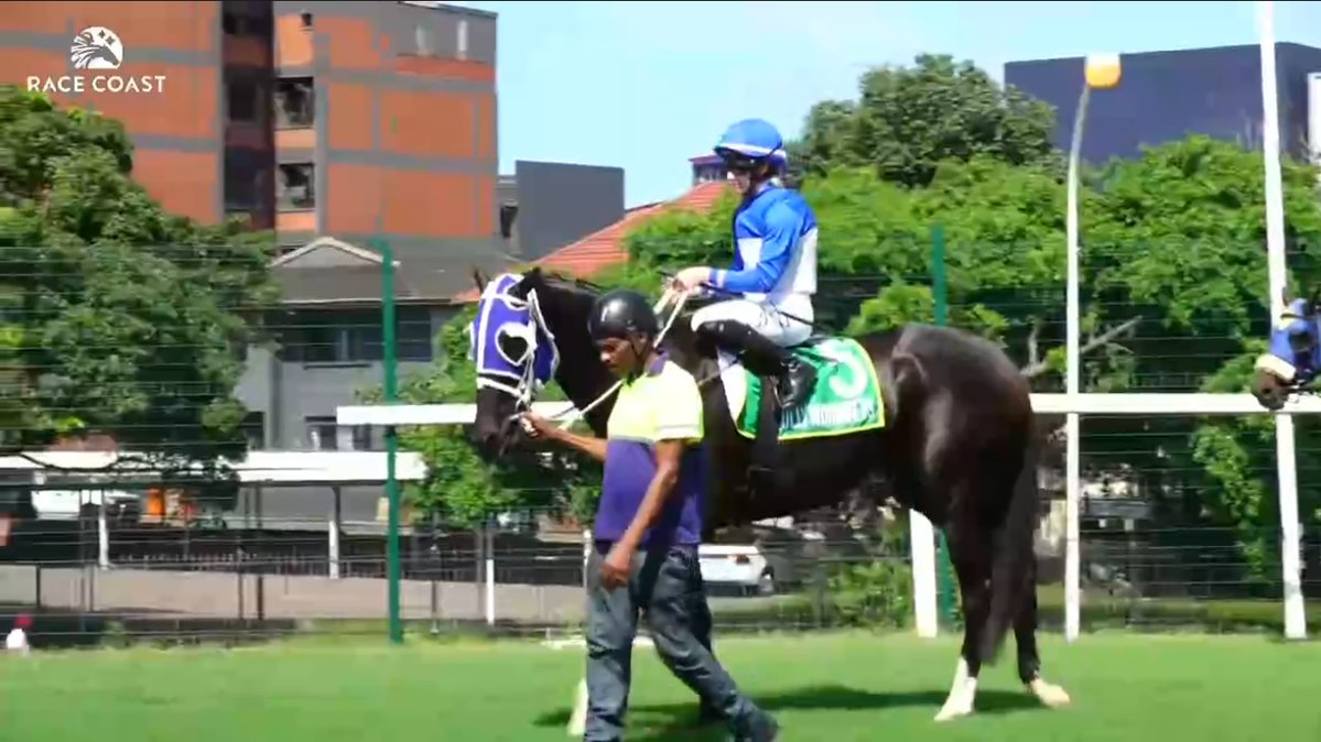 Art Martineau tweet media