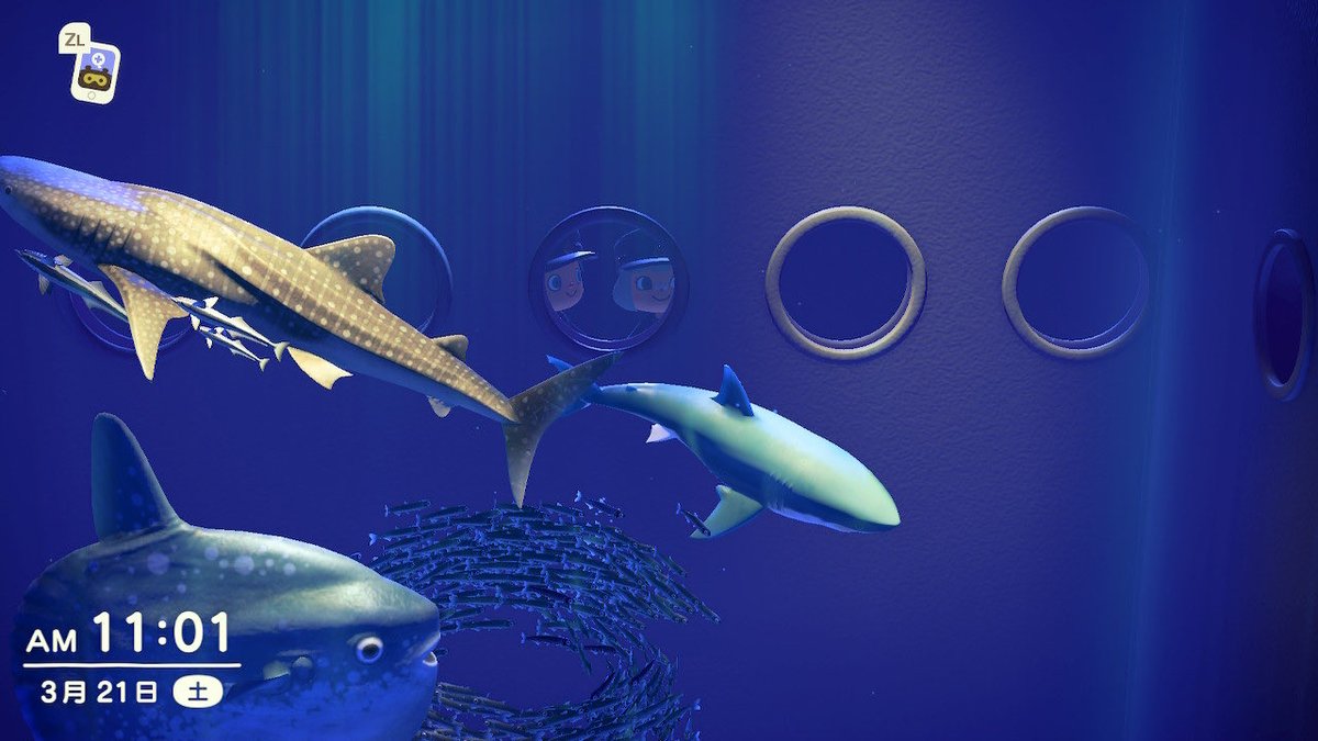 🍍まむまむ🍍あつ森 tweet media