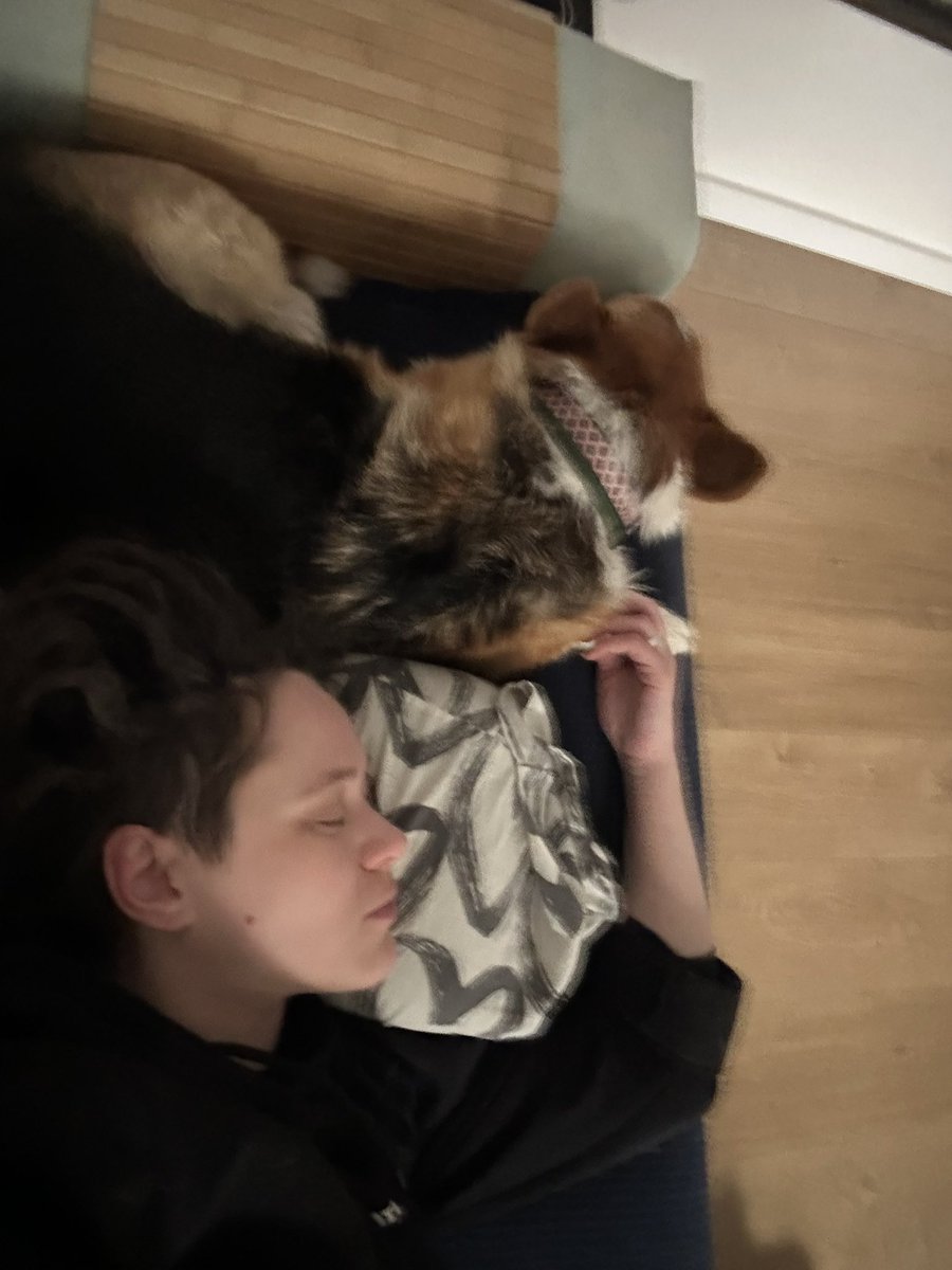 аутопсина тревожная | עם ישראל חי tweet media