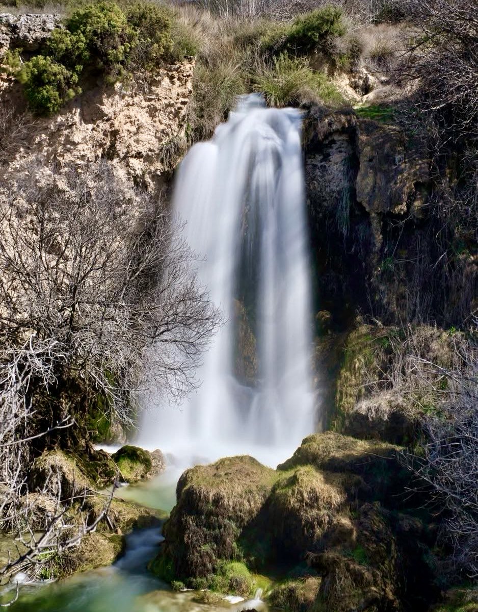 Francisco Martínez Arroyo tweet media