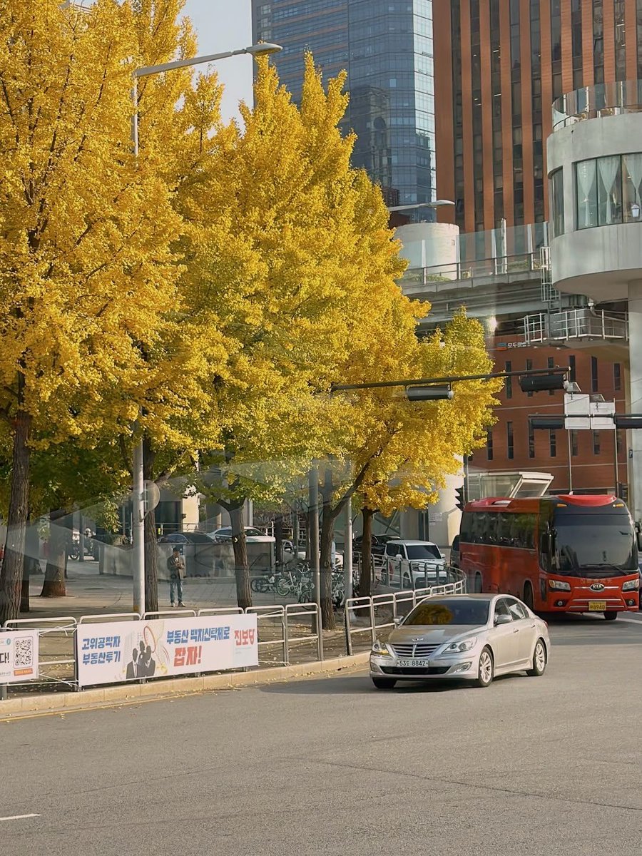 Melissa Bane tweet media