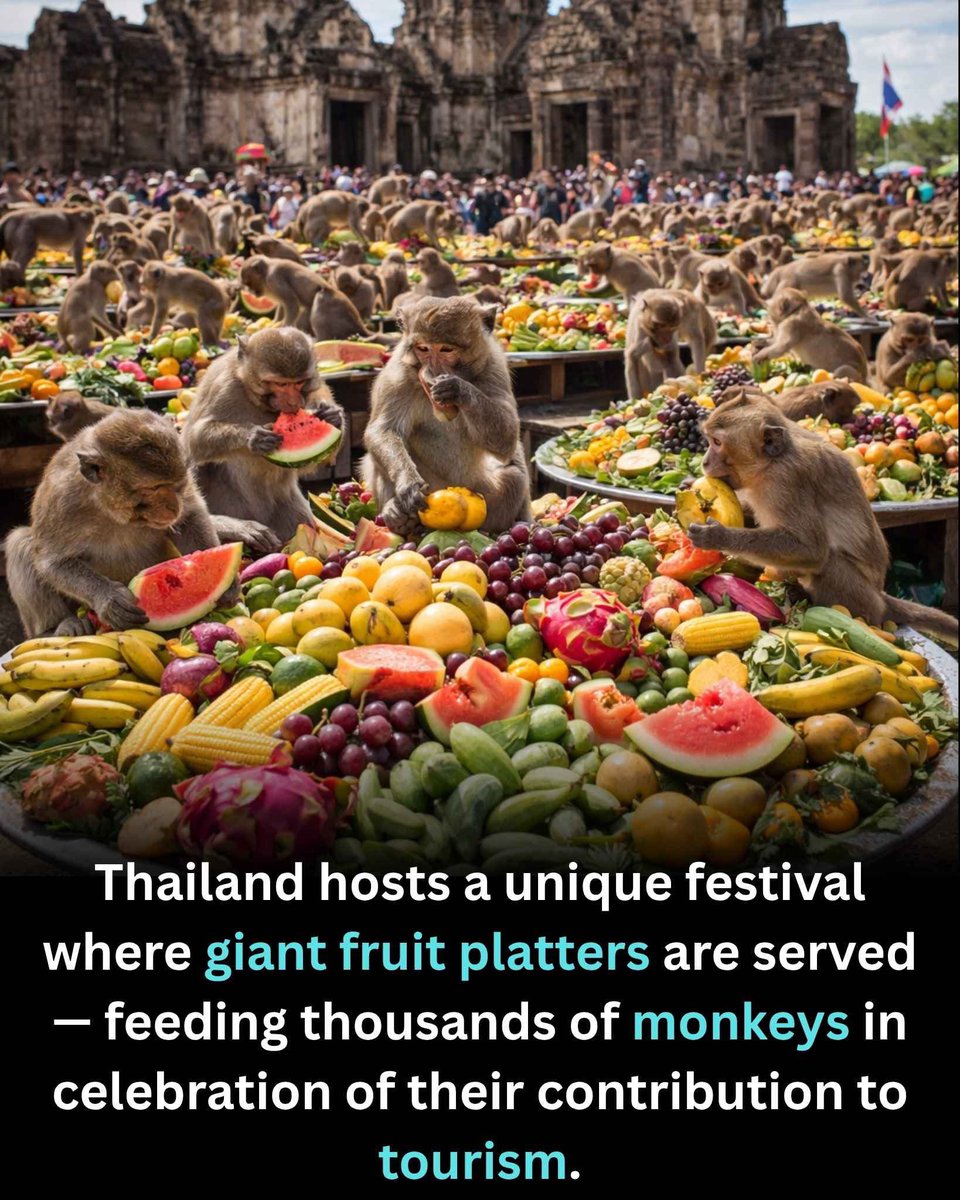 OB Vlogs tweet media