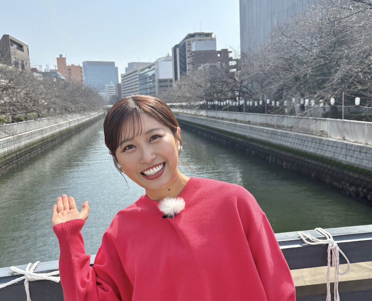 唐澤恋花 tweet media