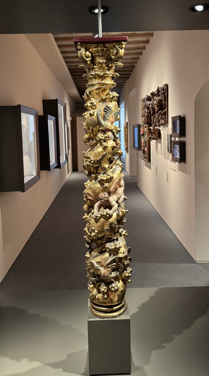 Damià Amorós i Albareda tweet media