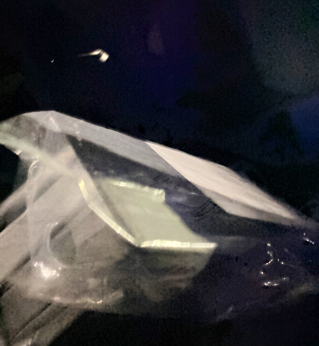 젤이🪽 tweet media